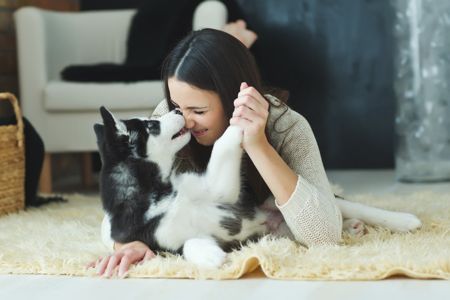 blackdecker-dog-collar