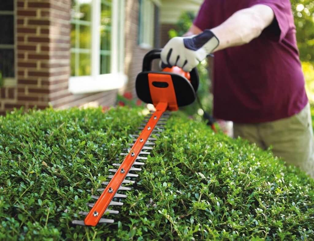 Black+Decker HH2455 used on a hedge