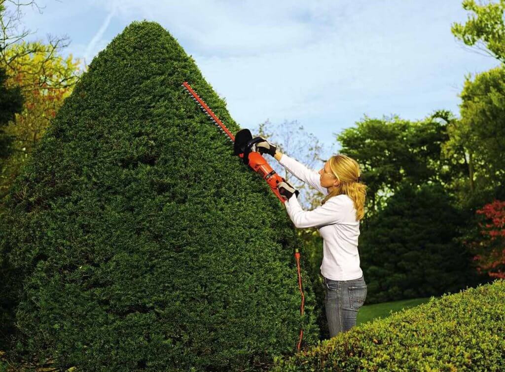 Black+Decker HH2455 Hedge Trimmer in the garden