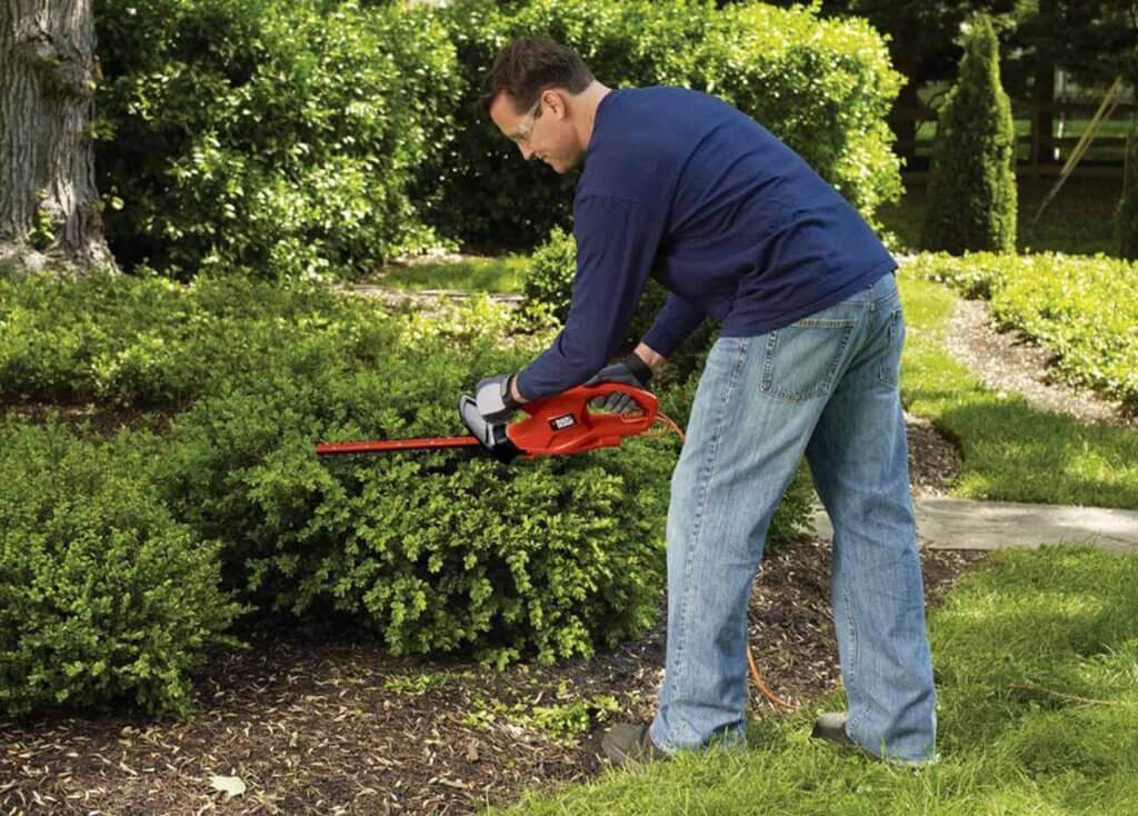 BLACK+DECKER TR117 used on a small hedge