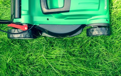 Best Cordless Lawn Mower [2019]