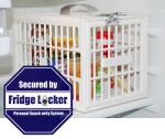 Fridge Locker Protects Your Goodies And Beer Stash