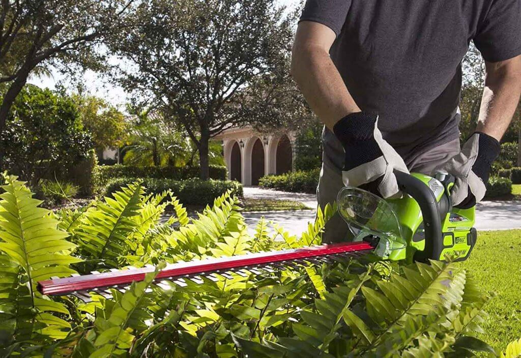 Greenworks 24-Inch 40V used for cutting plant