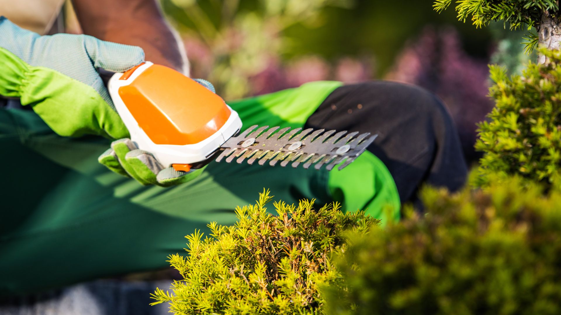 Hedge Trimmer Statistics
