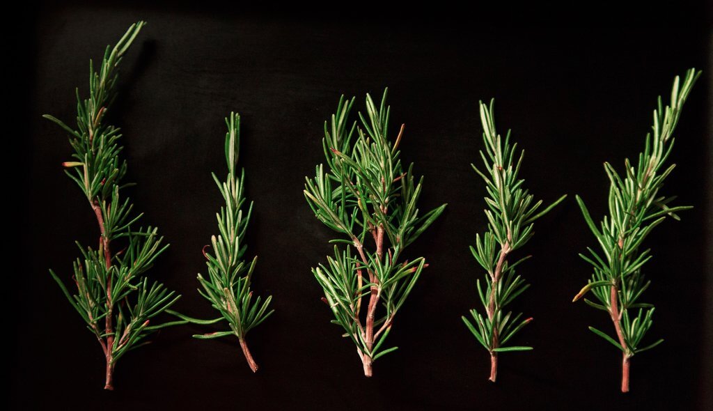 Herbs for grilling meat