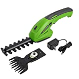 WORKPRO 2-in-1 Cordless Grass Shear and Hedge Trimmer