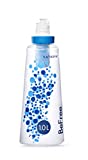 Katadyn BeFree 1.0 Liter Water Filter Bottle