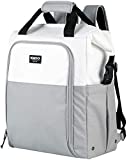 Igloo Switch Marine Backpack