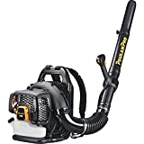 Poulan Pro PR48BT, 2-Cycle Gas-Powered Backpack Leaf Blower