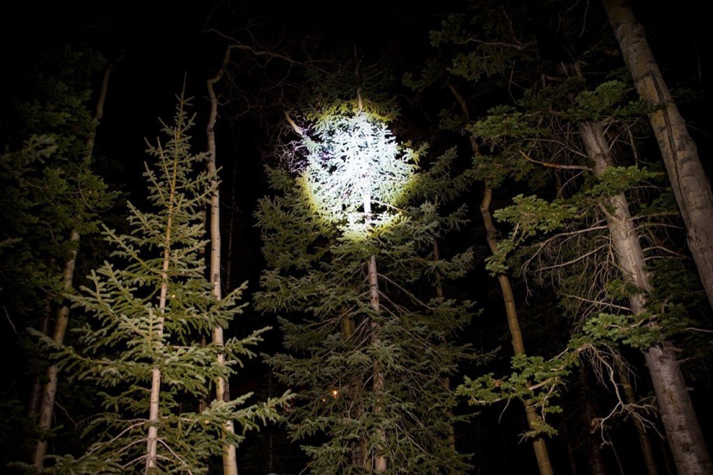 J5 Tactical V1-PRO Flashlight shining light on a tree