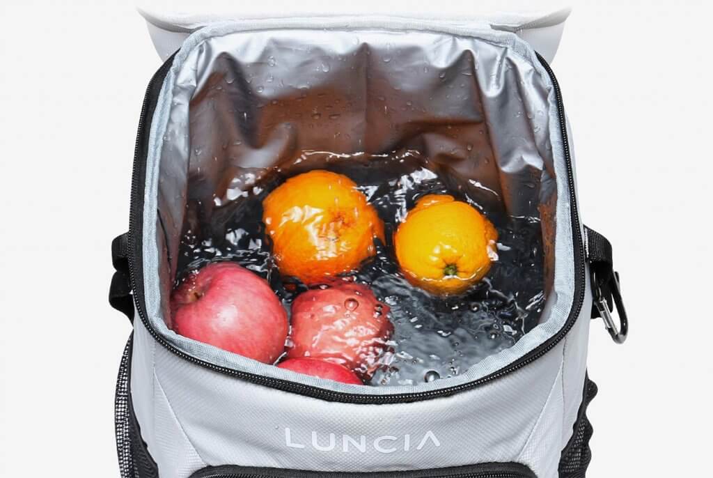 Interior of the LUNCIA 33can Collapsible Cooler Backpack