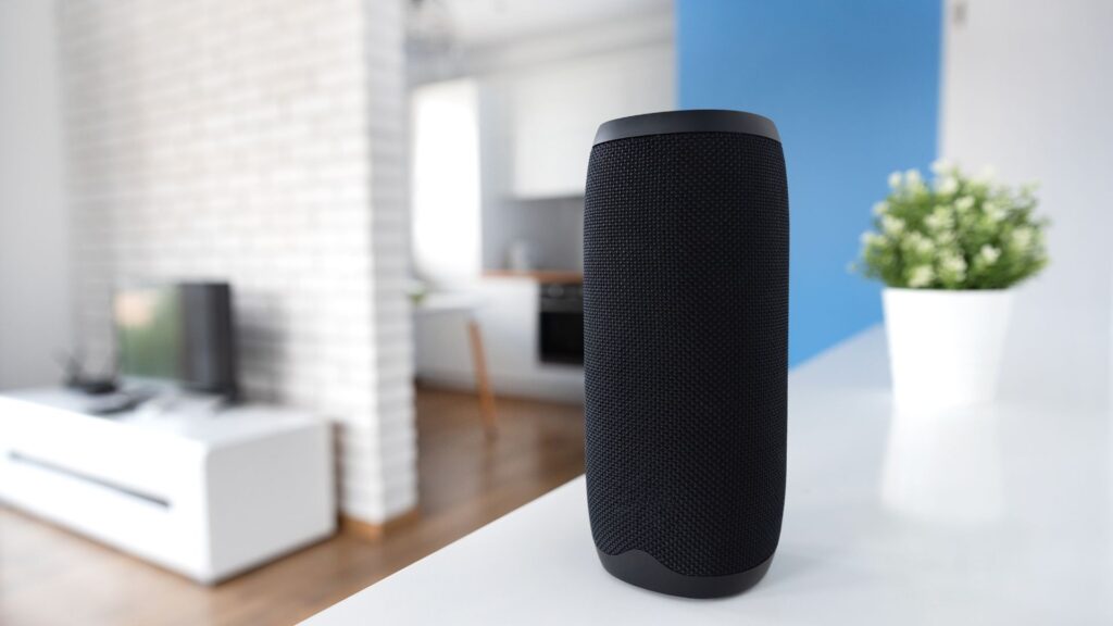 Smart Speaker Statistics