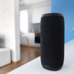 Smart Speaker Statistics