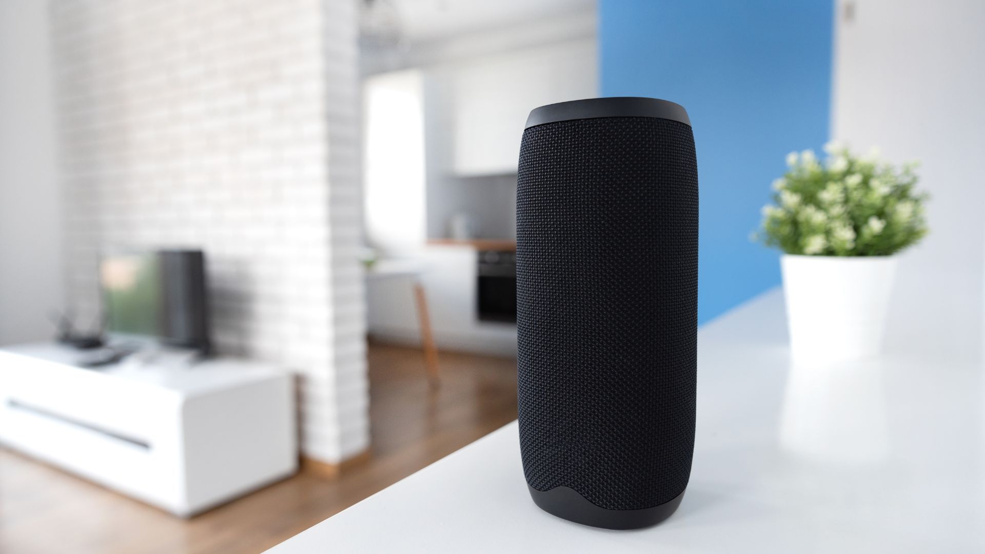 Smart Speaker Statistics