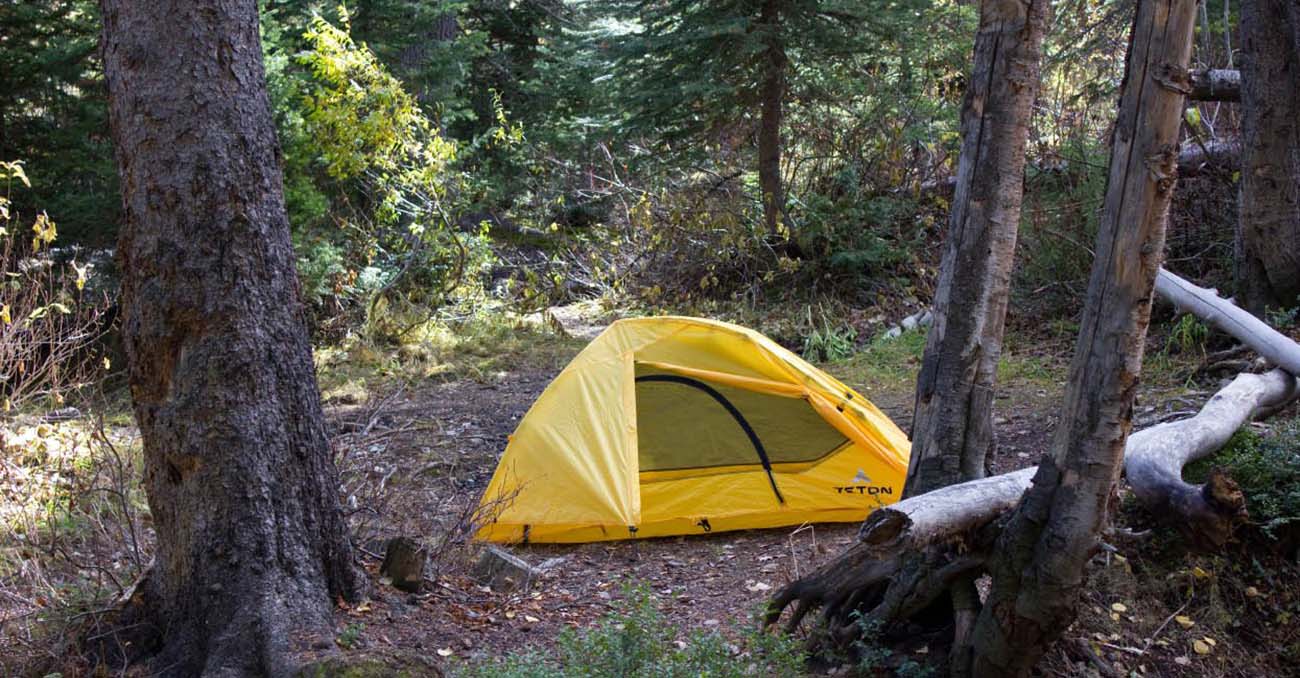 TETON Sports Outfitter XXL Quick Tent in the woods