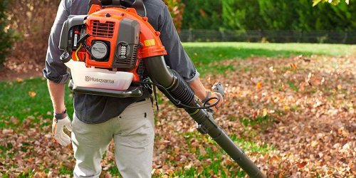  Best  Leaf Blower