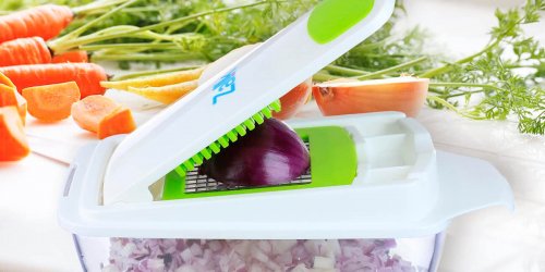  Best  Vegetable Chopper