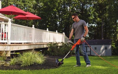  Best  Electric Weed Eater