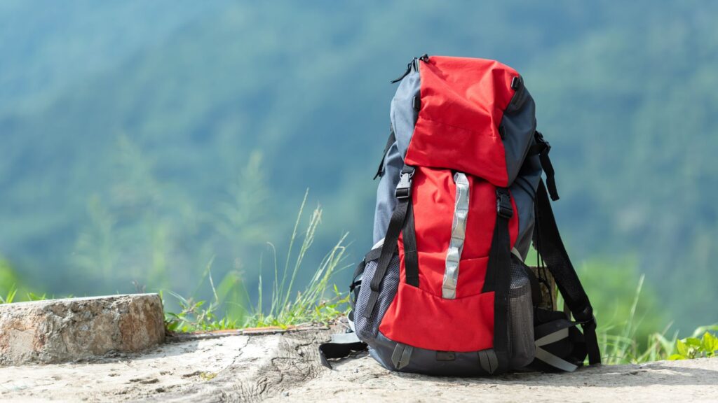 Travel Backpack Statistics
