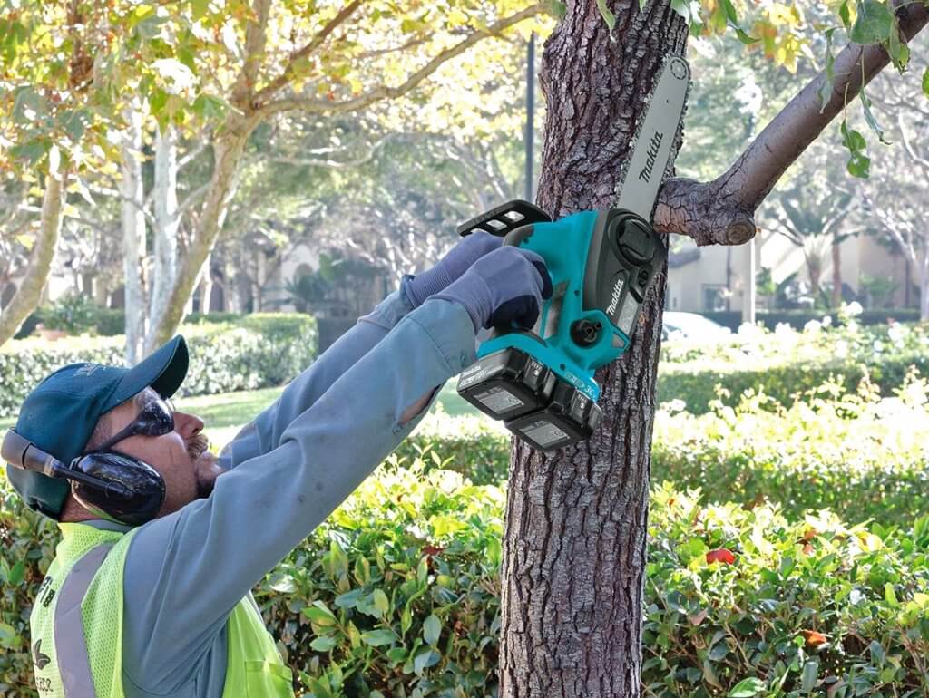 worker using the Makita XCU02PT Electric Chainsaw to cut down a tree