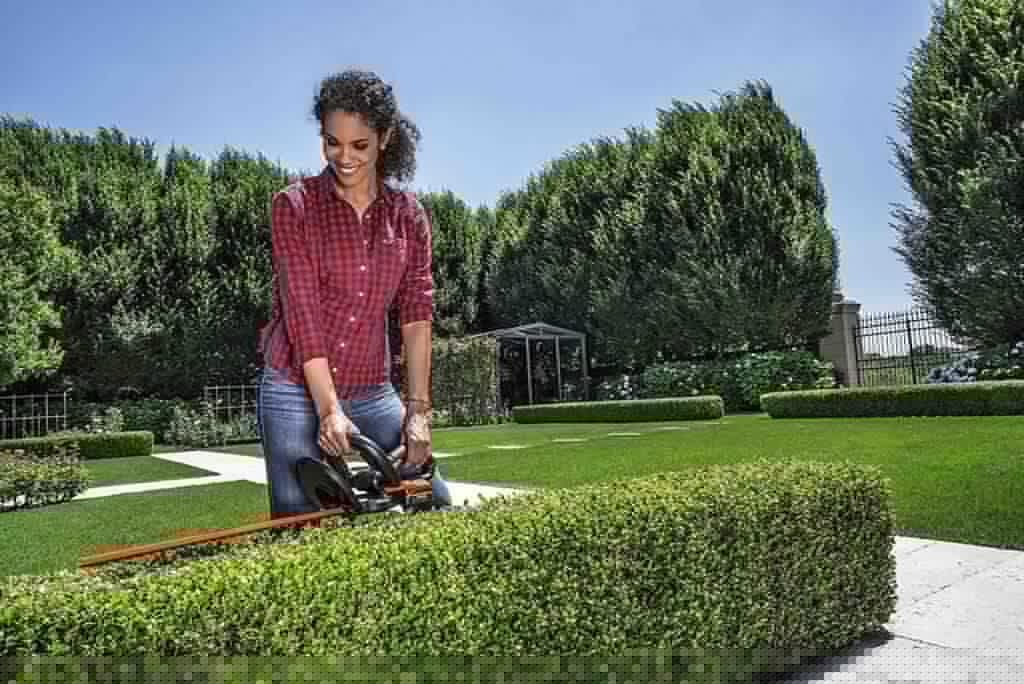 WORX WG255.1 PowerShare used for trimming a hedge