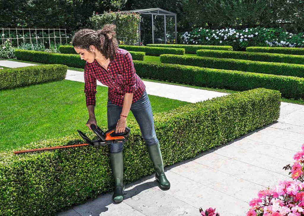 WORX WG255.1 PowerShare in the garden